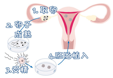 万级层流胚胎实验室